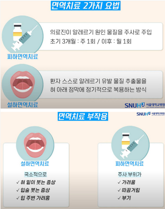 알레르기 뉴스