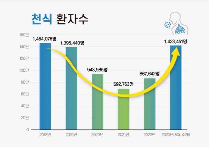 알레르기 뉴스