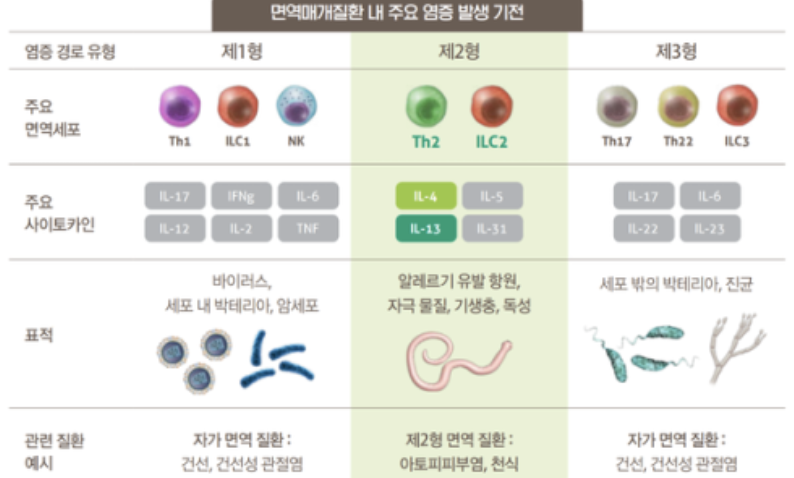 알레르기 뉴스