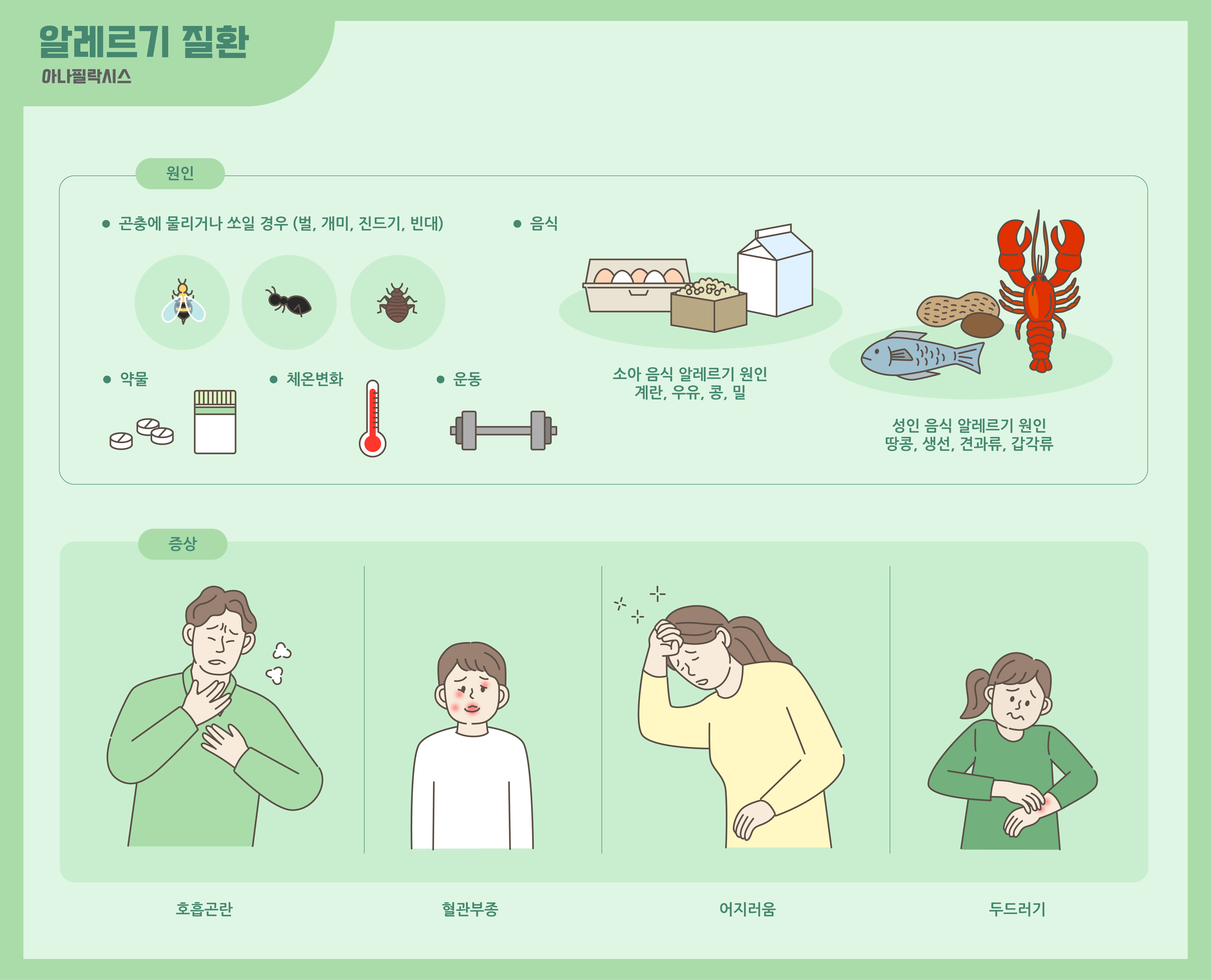 알레르기 뉴스
