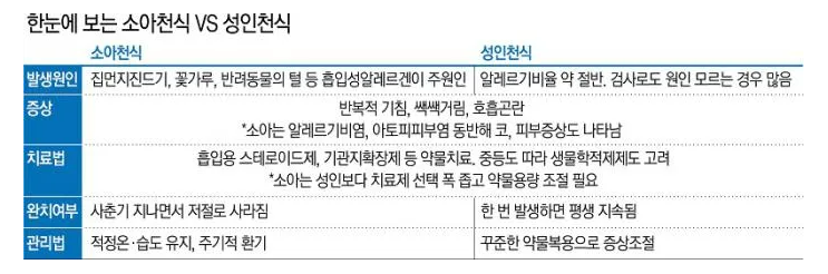 알레르기 뉴스